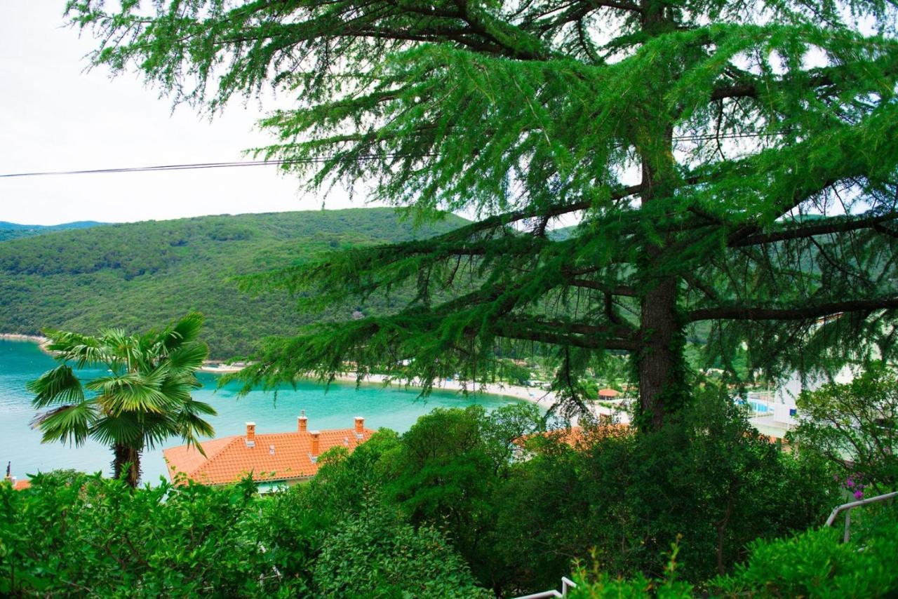 Apartments Ljerka Rabac Exterior foto